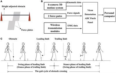 Stroke-Related Changes in the Complexity of Muscle Activation during Obstacle Crossing Using Fuzzy Approximate Entropy Analysis